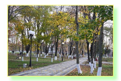 Хуторяне высадили липы возле памятника воинам Великой Отечественной войны