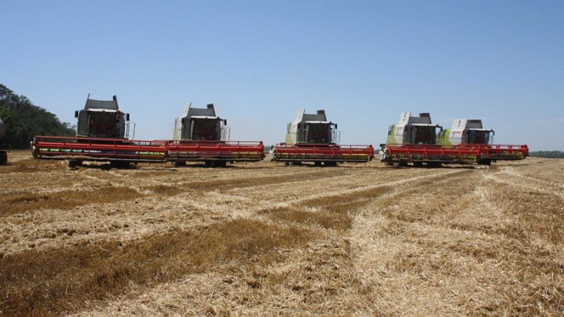 Сельхозпредприятие Кубани повысило выработку на 40% благодаря нацпроекту «Производительность труда»