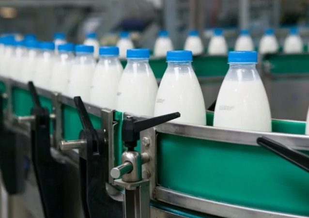Армавирский производитель молочной продукции будет внедрять бережливые технологии