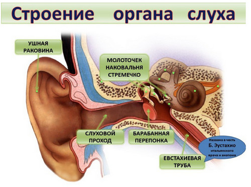 Причины ухудшения слуха и их профилактика!