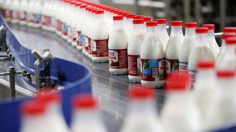 Краснодарский край стал лидером в России по производству питьевого молока
