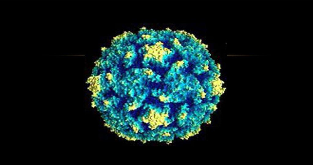 Вакцинация от полиомиелита – жизненно необходима!