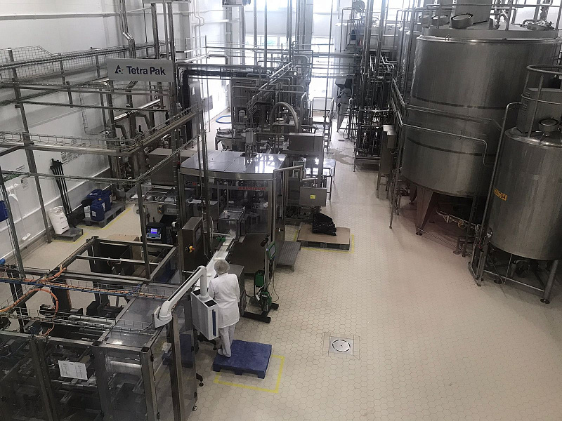 Сыродельный завод Кубани подвел итоги реализации нацпроекта «Производительность труда»