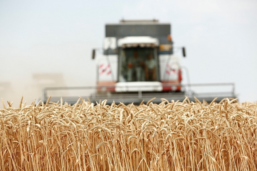 Закончилась уборка зерновых колосовых и зернобобовых культур