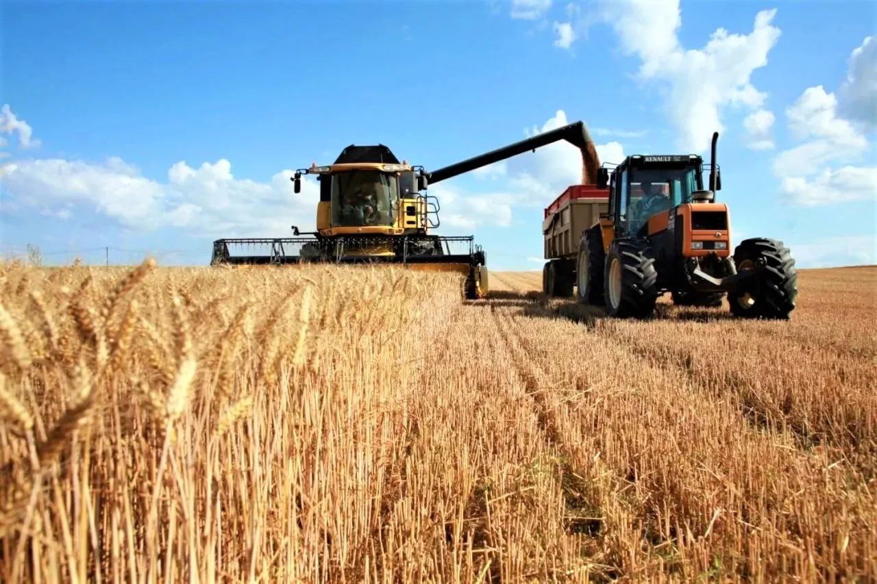 Сельскохозяйственное предприятие Новороссийска подвело итоги участия в нацпроекте «Производительность труда»