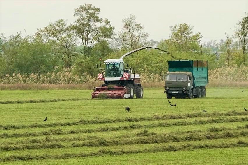 Кубанское сельскохозяйственное предприятие увеличило выработку на 17 процентов
