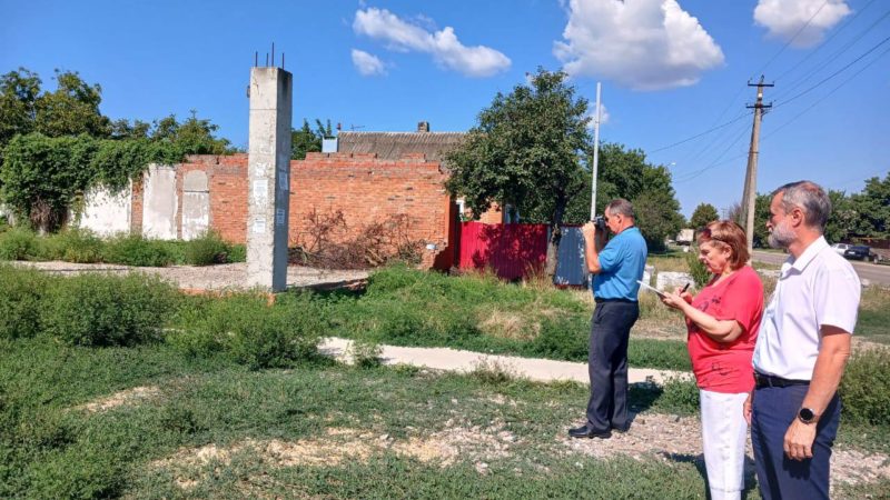 Тихий враг у забора: чем грозит амброзия на участке