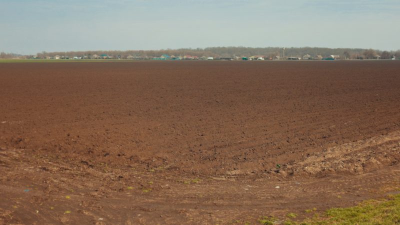 Уборка урожая в разгаре: район завершает уборку пропашных и активно сеет озимые