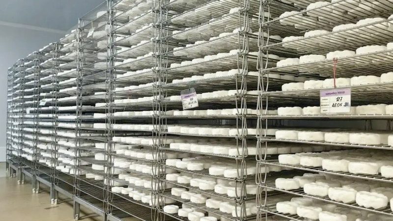 Сыроварня из Ленинградского района сосредоточится на улучшении выпуска самого востребованного продукта