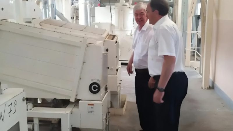 Зерно высокой пробы: глава района оценил мощности завода «Лебеди» в станице Гривенской