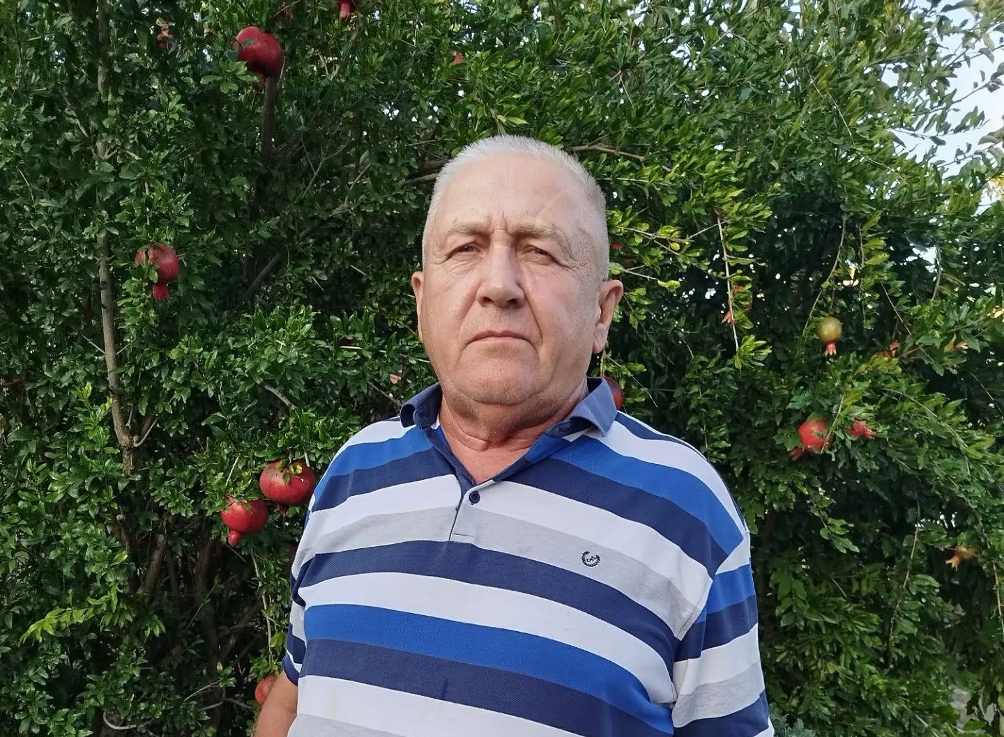Земля даёт силы