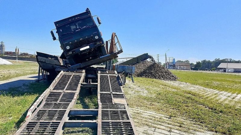 Курганинский комбинат продолжает оптимизировать процесс разгрузки сахарной свеклы